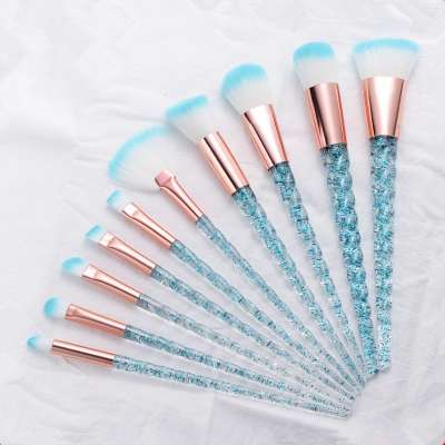 Free Samples Best Selling 10Piece Makeup Brush Set for Woman Oily Skin