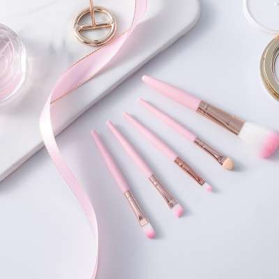 Private Label Sample Free Professional Best Price 5pcs Makeup Brushes set